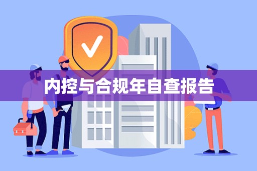 内控与合规年自查报告