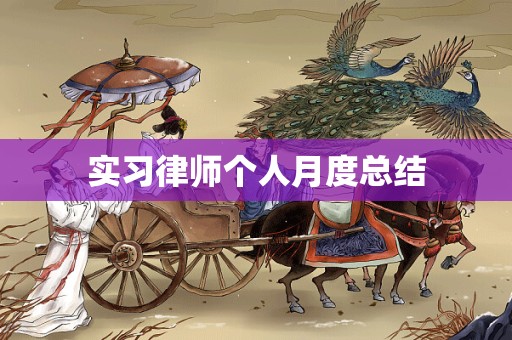 实习律师个人月度总结