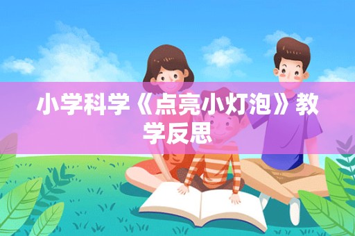 小学科学《点亮小灯泡》教学反思