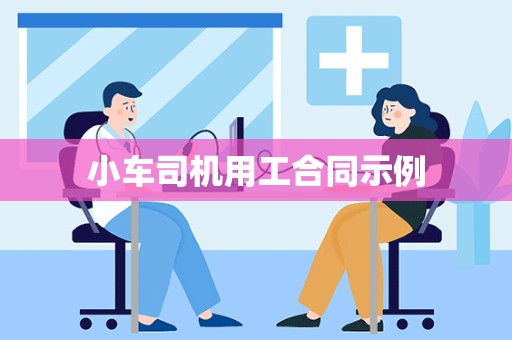 小车司机用工合同示例