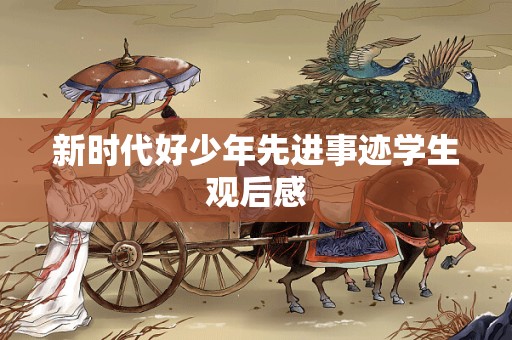 新时代好少年先进事迹学生观后感