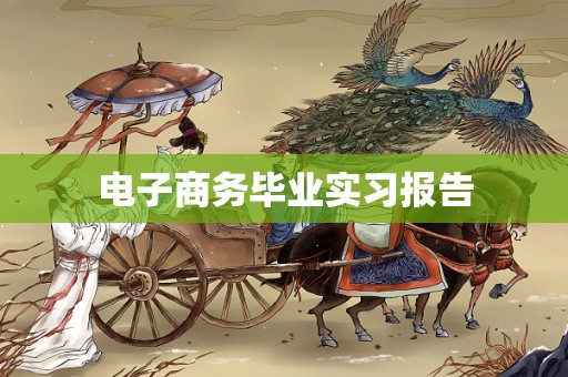 电子商务毕业实习报告