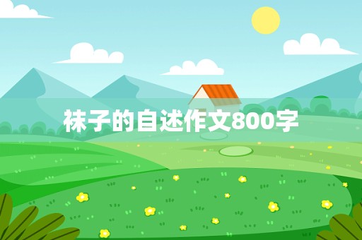 袜子的自述作文800字