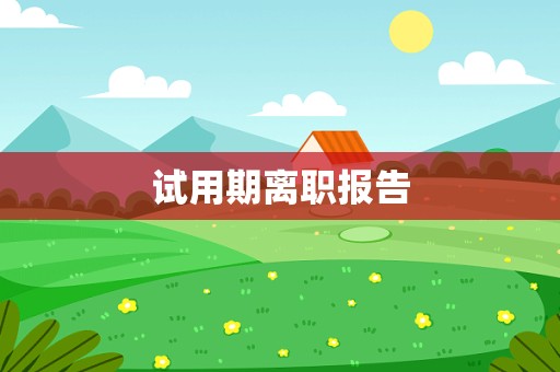 试用期离职报告