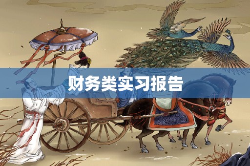 财务类实习报告