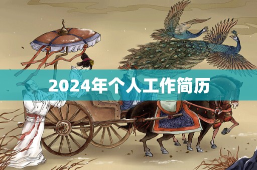 2024年个人工作简历