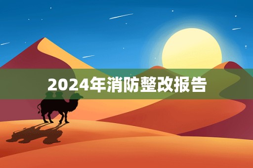 2024年消防整改报告