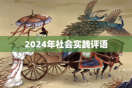 2024年社会实践评语