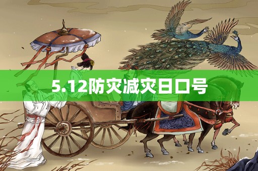 5.12防灾减灾日口号