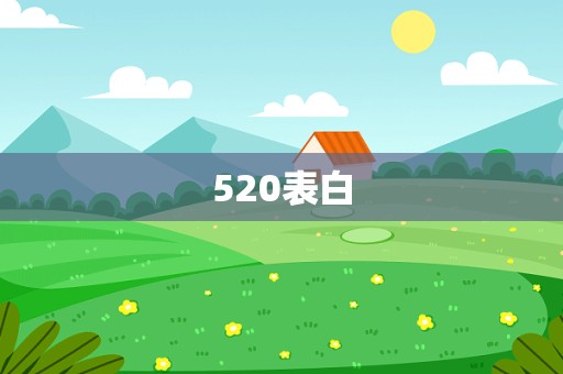 520表白